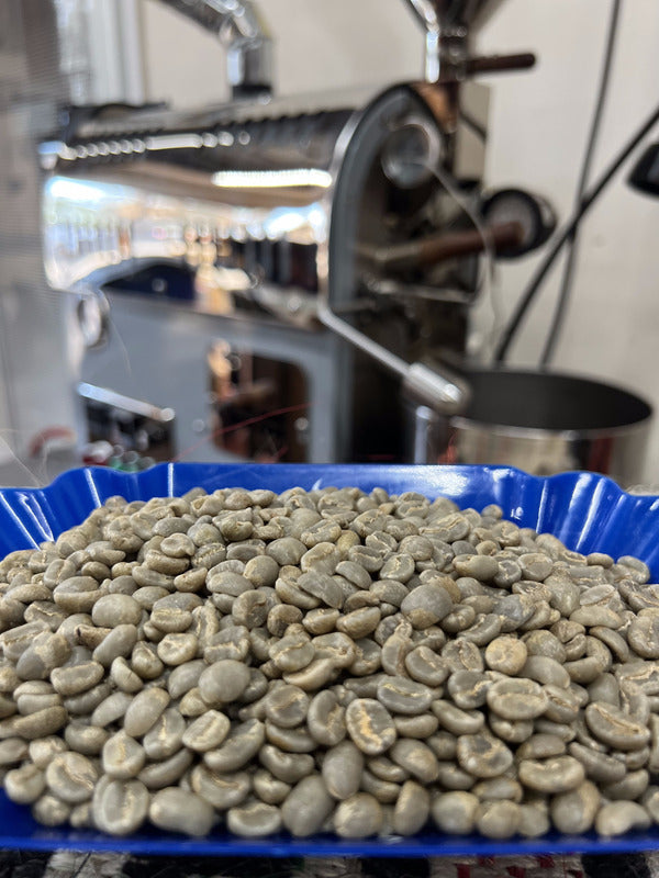 Green Colombia Huila Tabi Orlando Coffee Roasters