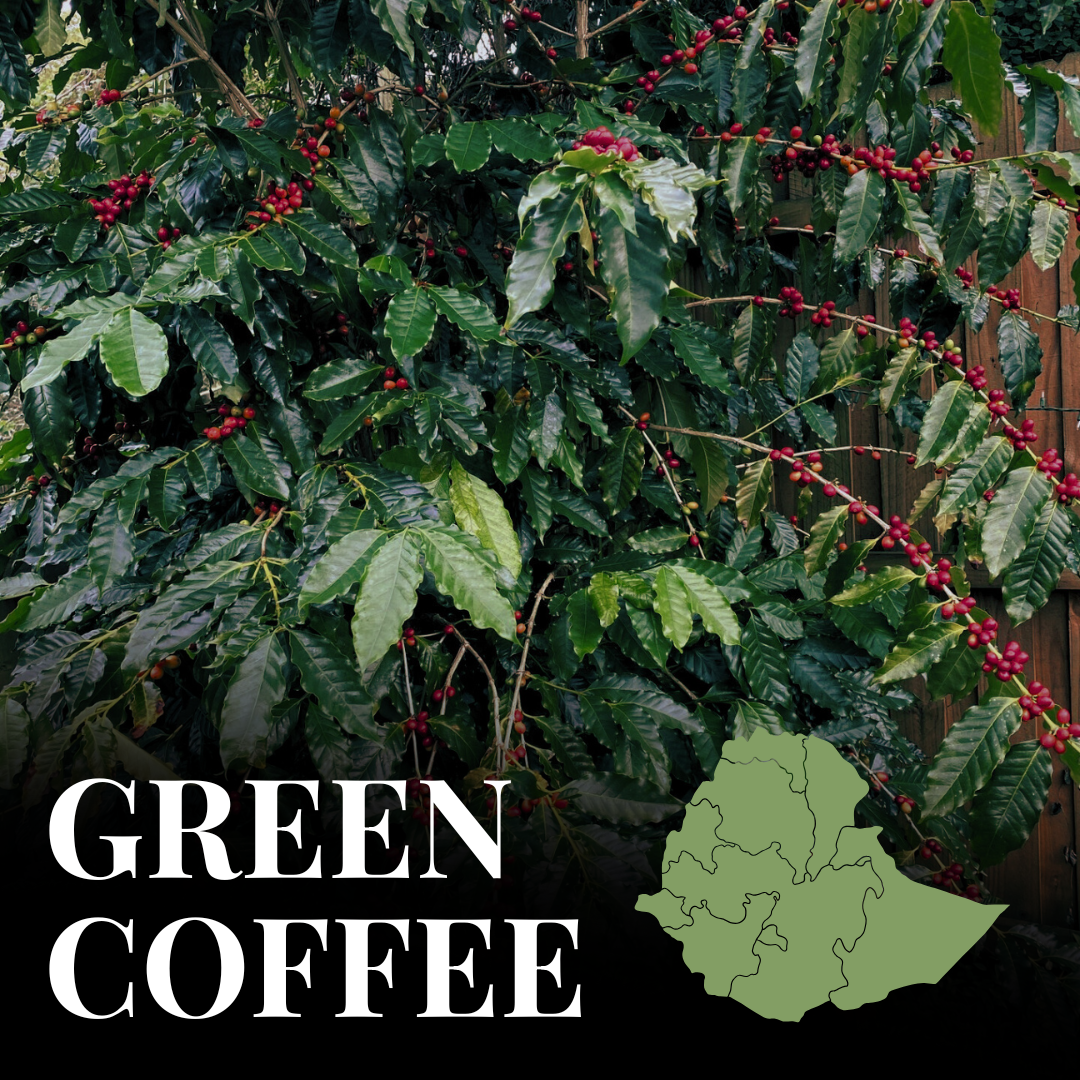 Green Ethiopia Yirgacheffe
