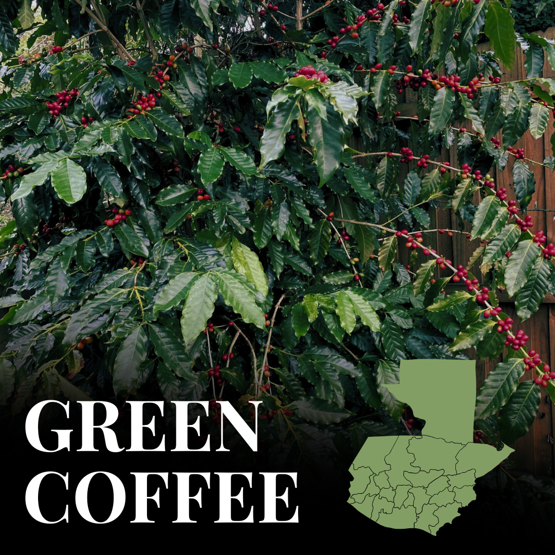 Green Guatemala Antigua