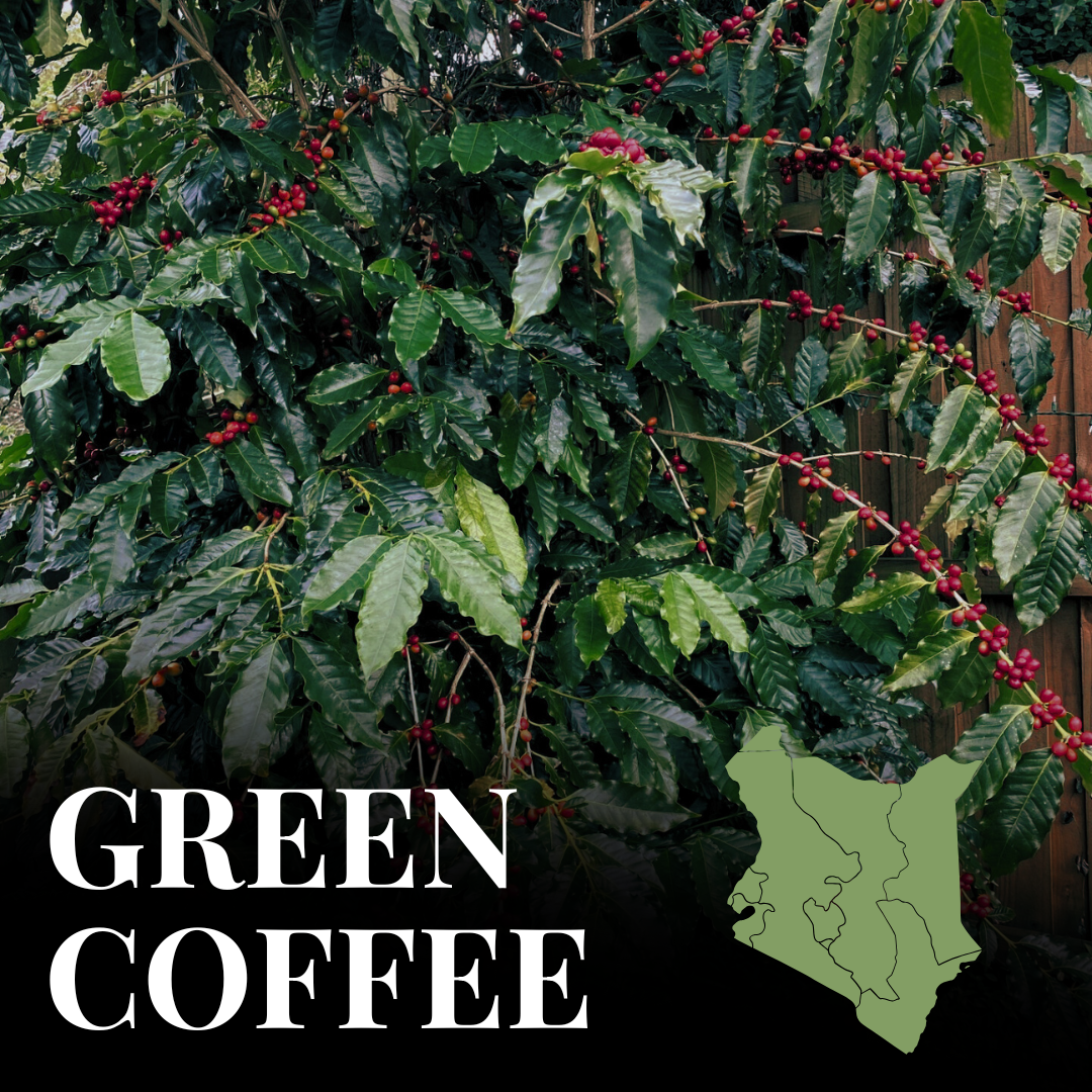 Green Kenya AA Gititu (washed)