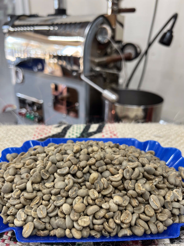 Green Sumatra Takengon