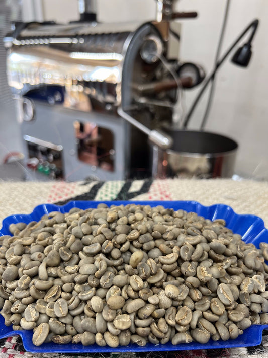 Green Sumatra Takengon