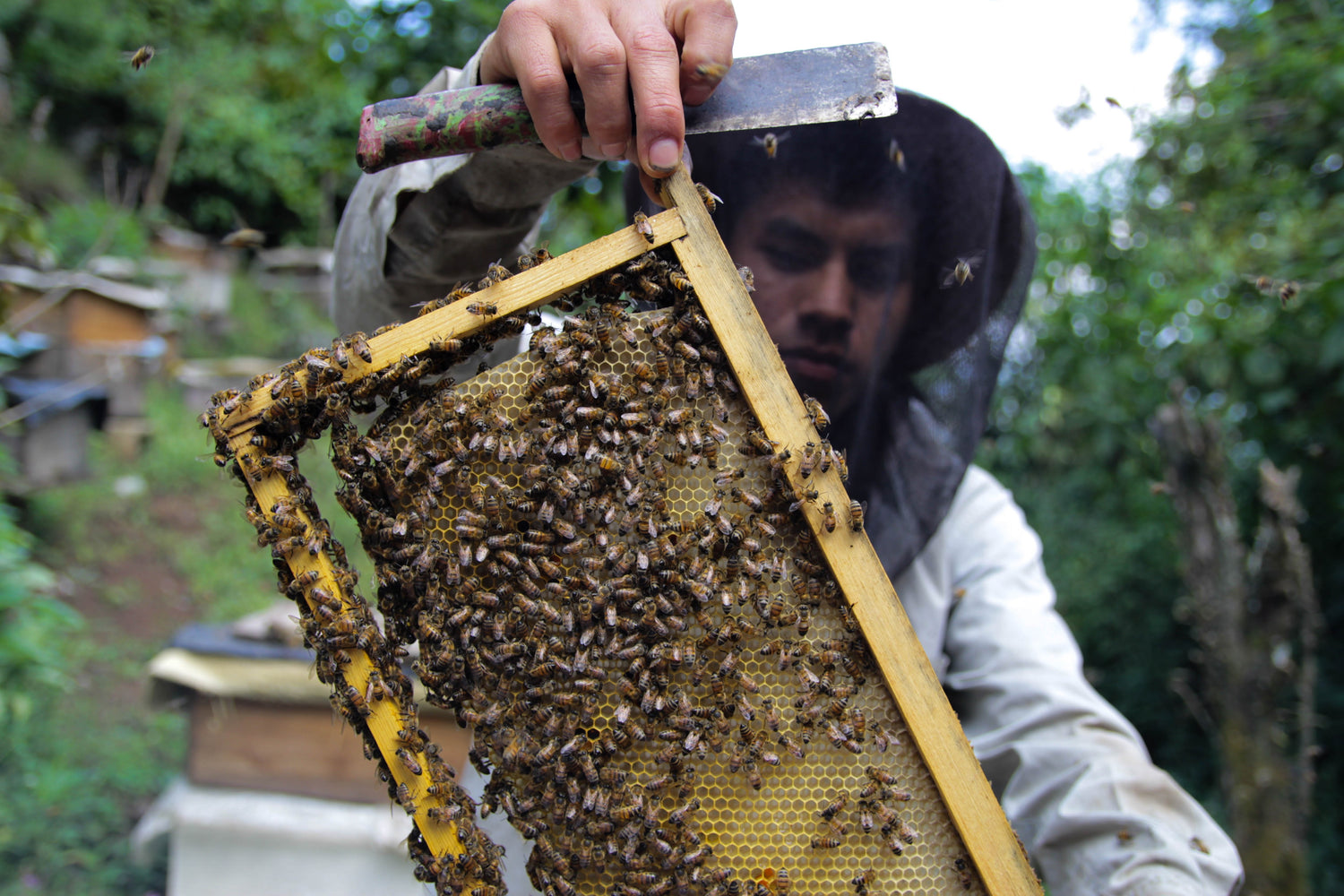 Orlando Coffee Roasters Orlando, FL Best Specialty Coffee Roaster