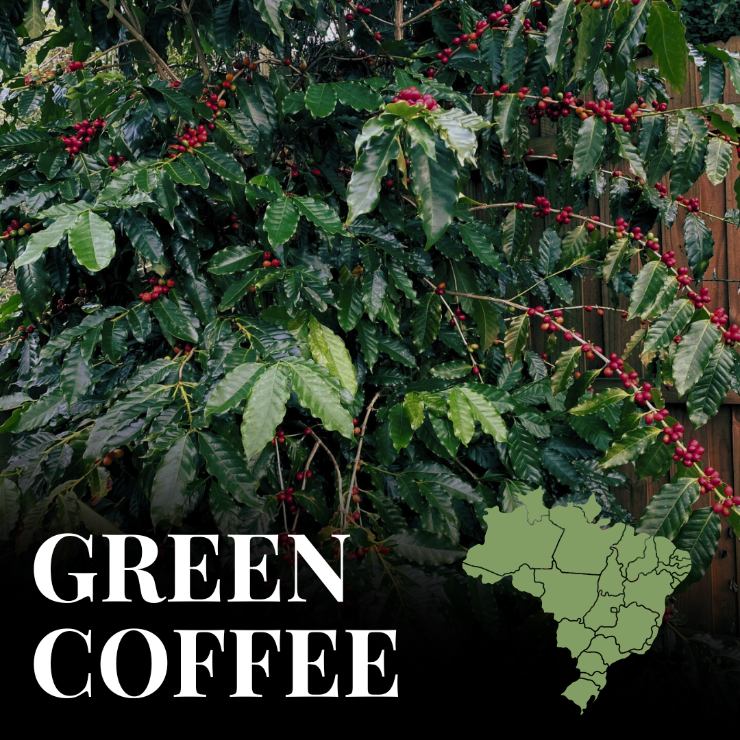 Green Brazil Minas Gerais