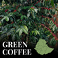 Green Ethiopia Yirgacheffe