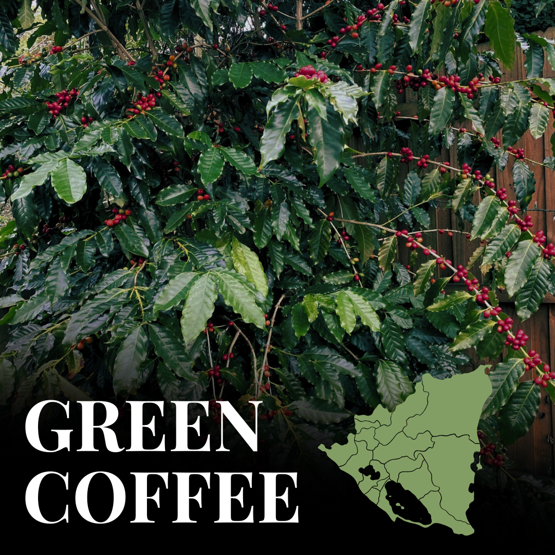 Green Nicaragua Finca Las Nubes