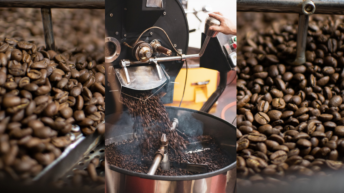 Orlando Coffee Roasters Orlando, FL Best Specialty Coffee Roaster